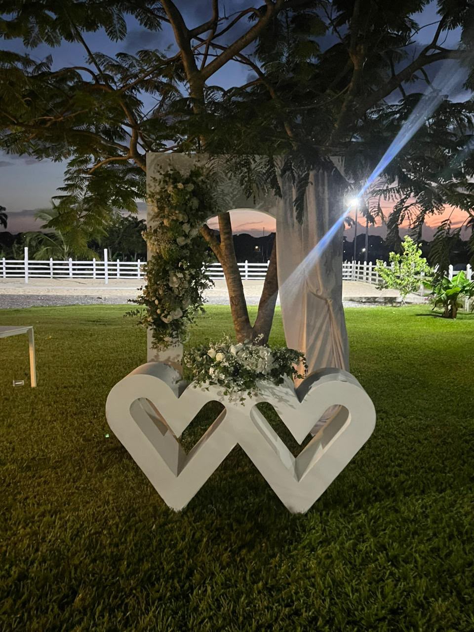 Corazones blancos entrelazados con arreglo de flores blancas y arco con cortina bajo un árbol al atardecer, decoración de boda